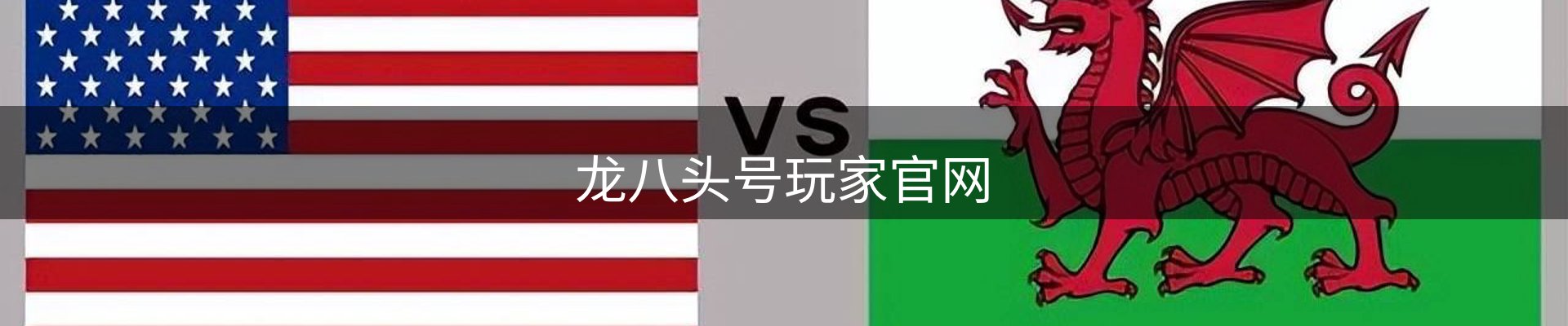龙八头号玩家官网
